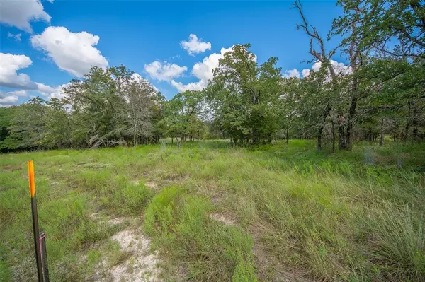 Paradise, TX 76073,10.01 Acres Private Road 3582