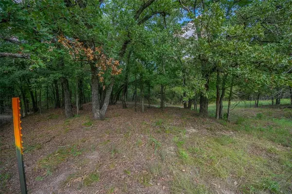 Paradise, TX 76073,10.01 Acres Private Road 3582