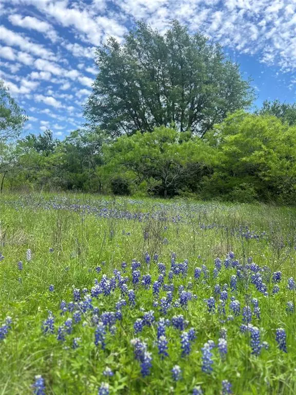 Blum, TX 76627,TBD Private Road 190