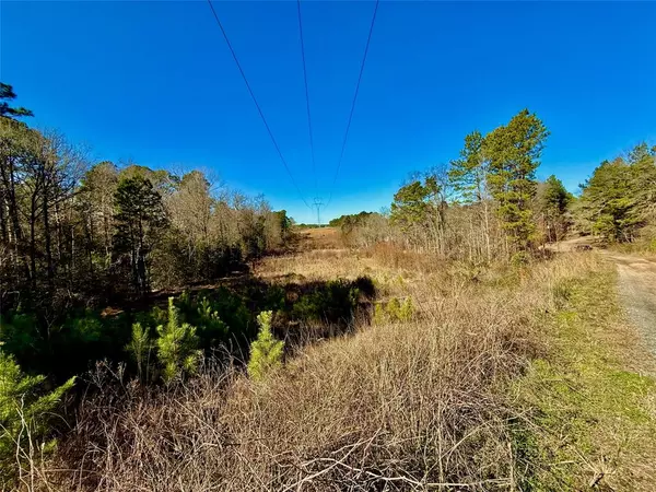 Lot 16 Chestnut Drive, Harleton, TX 75651