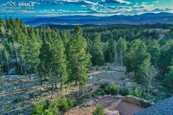 Florissant, CO 80816,2638 N Mountain Estates RD