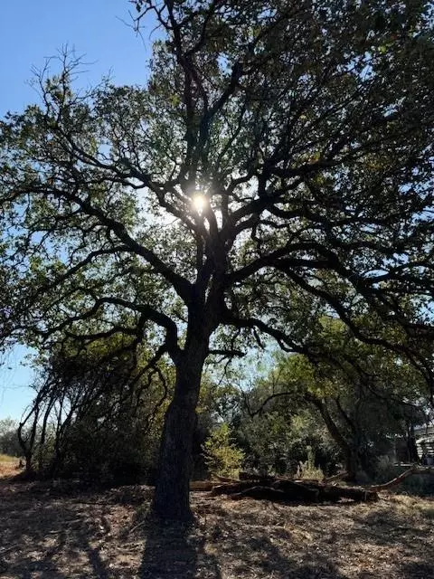 Granbury, TX 76048,1479 8 acres Williamson