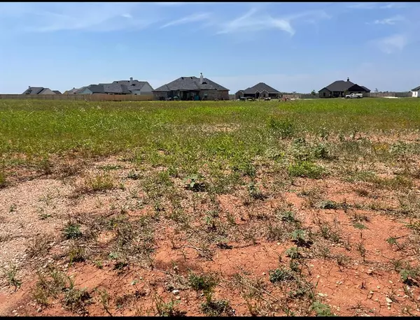 Tuscola, TX 79562,133 Sparrow Hills Lane