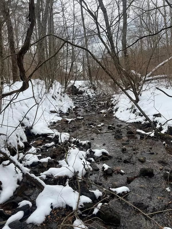 TBD Buffalo Mountain Road Sw, Meadows Of Dan, VA 24120