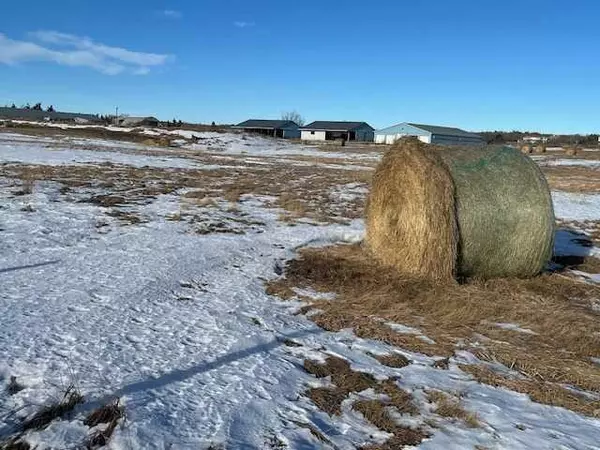 Rural Rocky View County, AB T4C 2H2,255100 Lochend RD #1