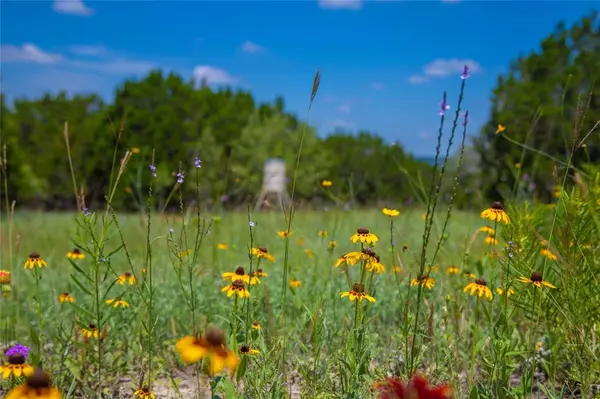 Goldthwaite, TX 76442,180 County Road 140