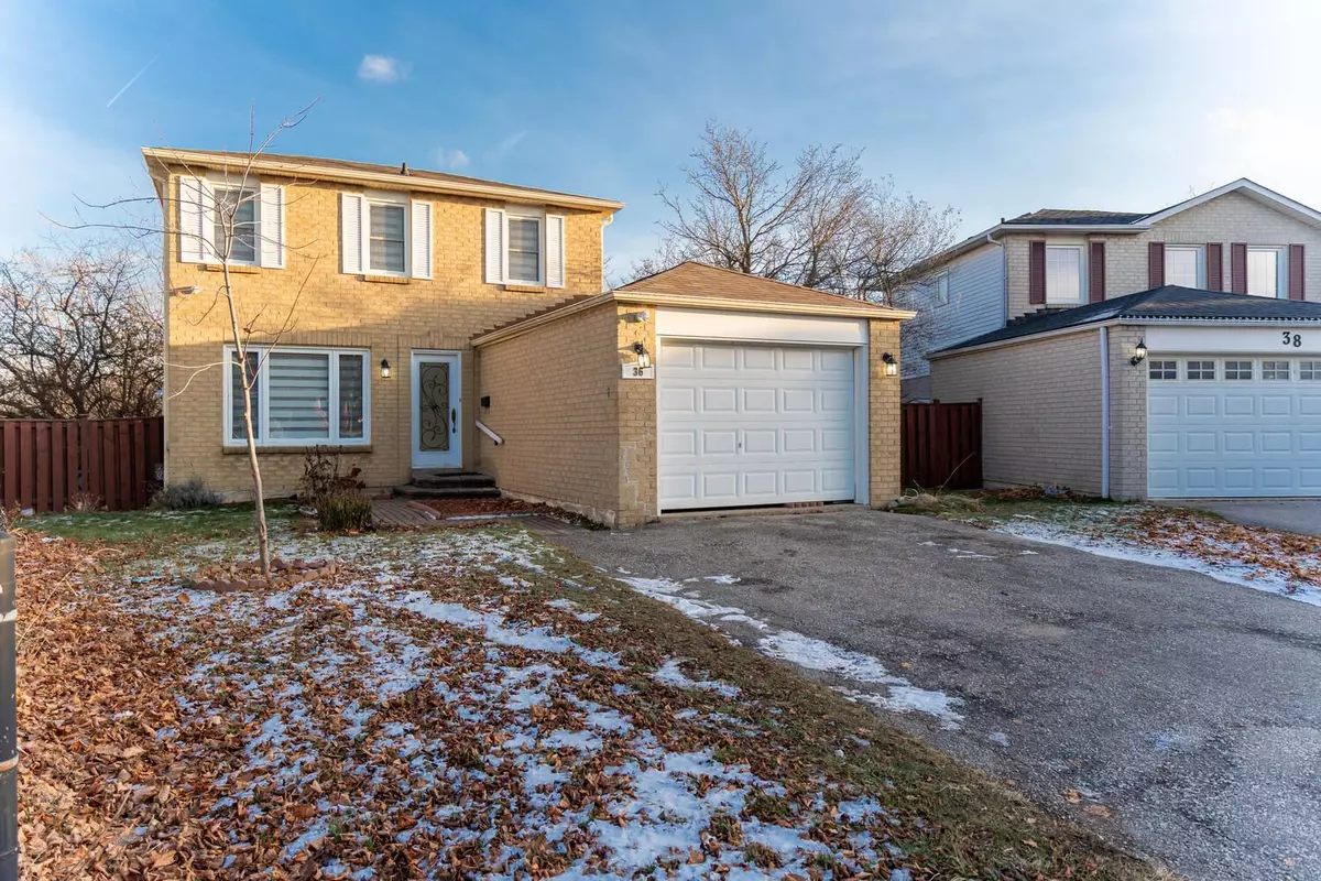 Brampton, ON L6S 4H2,36 Norma CRES