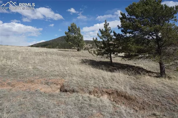 Victor, CO 80860,Vacant Land