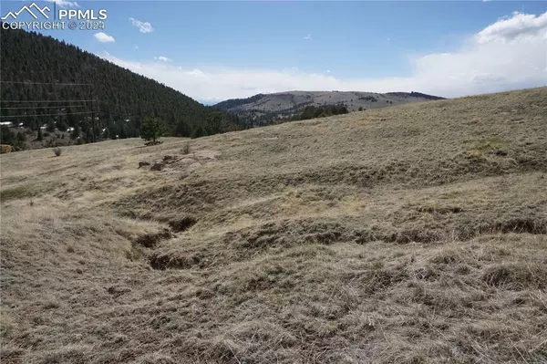 Victor, CO 80860,Vacant Land