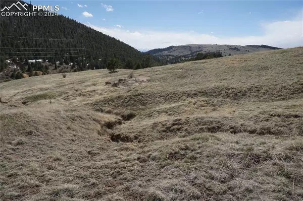 Victor, CO 80860,Vacant Land