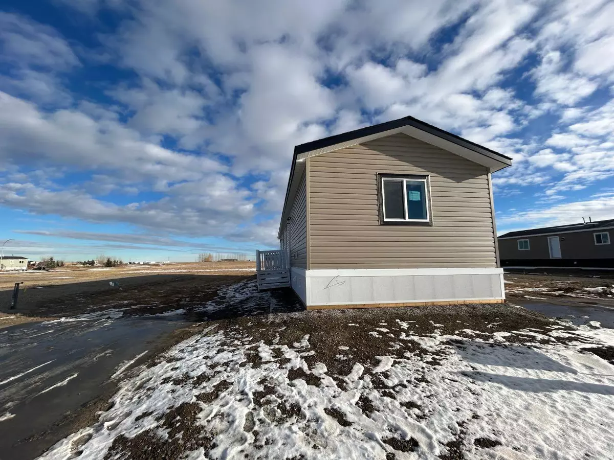 Coaldale, AB T1M 0G4,2009 Sunflower CRES