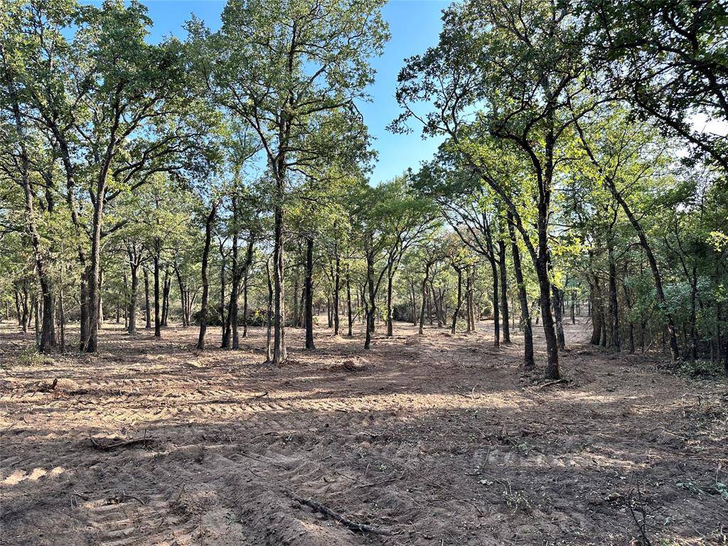 Rio Vista, TX 76093,8436 CR 1204