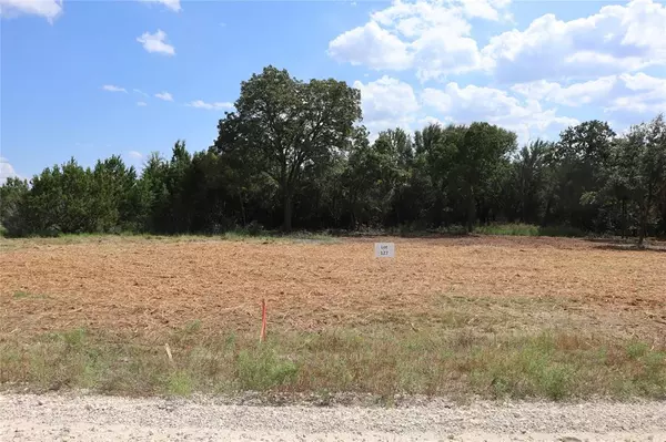 Nemo, TX 76043,Lot 127, 1186 County Road 407A