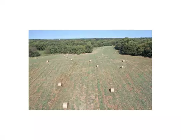 Wolfe City, TX 75496,135 AC County Rd 4615