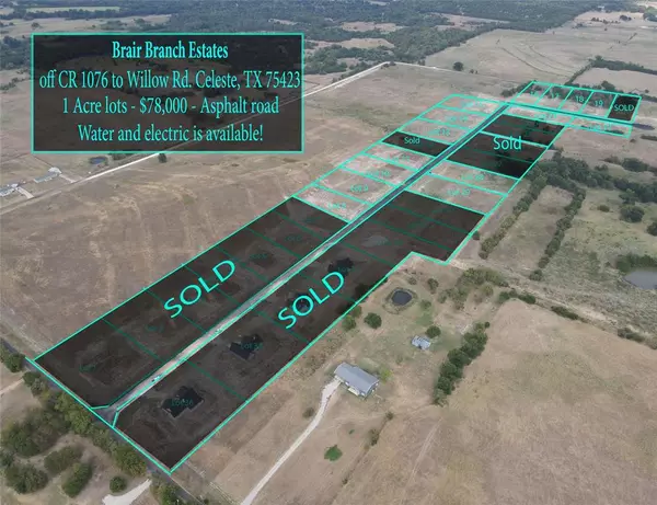 Celeste, TX 75423,Lot 13 WILLOW RD Road