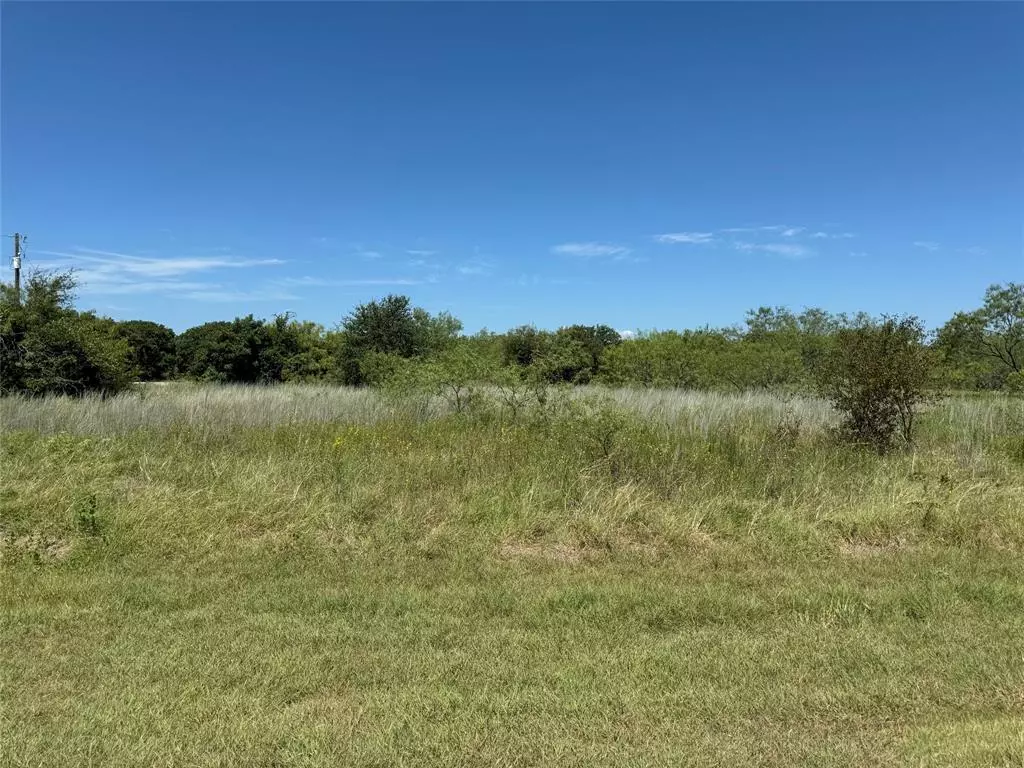 Whitney, TX 76692,24163 Springwood Lane