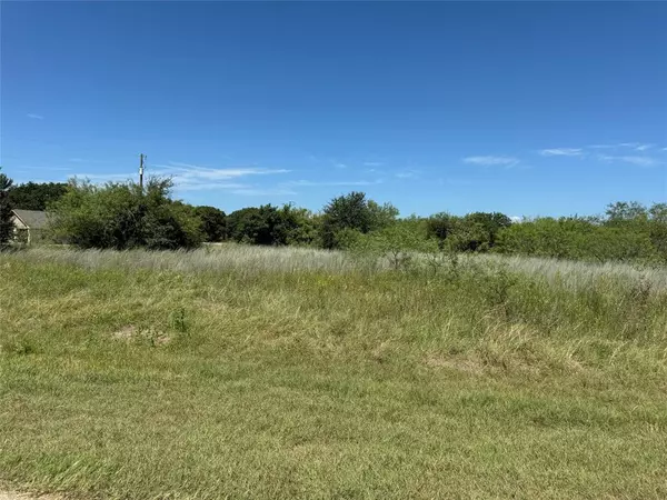 Whitney, TX 76692,24163 Springwood Lane