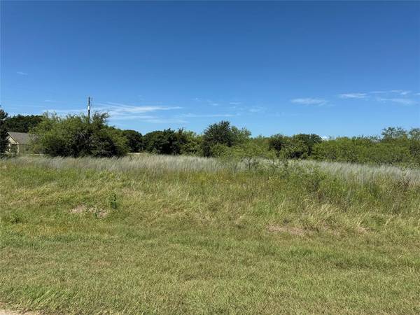 Whitney, TX 76692,24163 Springwood Lane