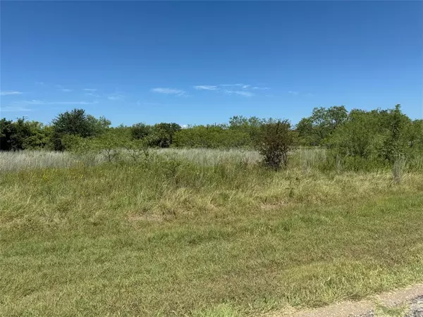 Whitney, TX 76692,24163 Springwood Lane