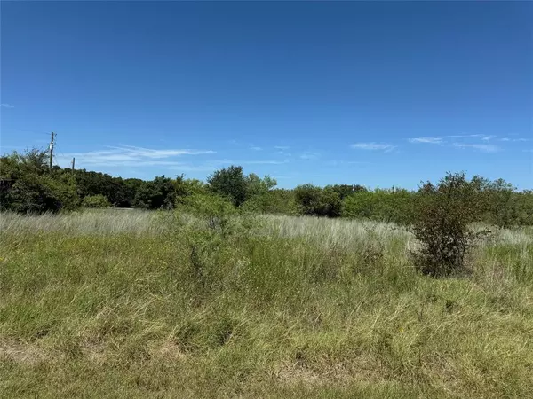 Whitney, TX 76692,24163 Springwood Lane