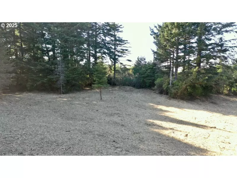 42836 HENSLEY HILL RD, Port Orford, OR 97465