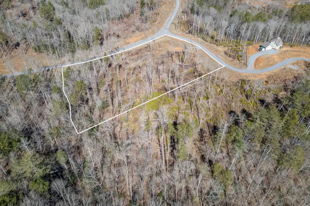 Ellijay, GA 30540,LT167 High River