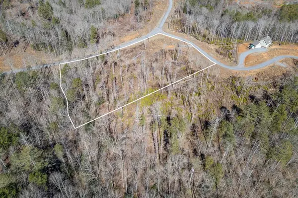 LT167 High River, Ellijay, GA 30540