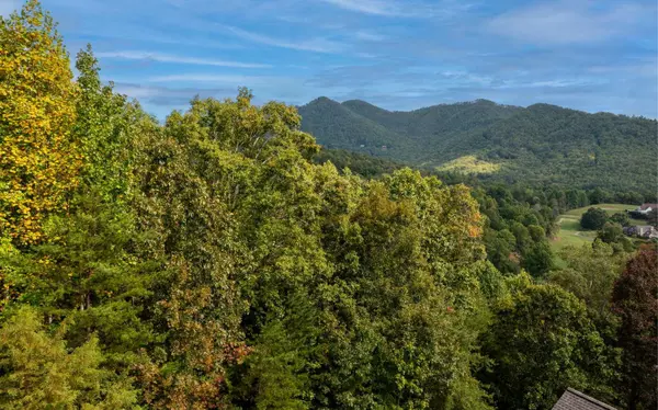 Hayesville, NC 28904,29C Indian Trail