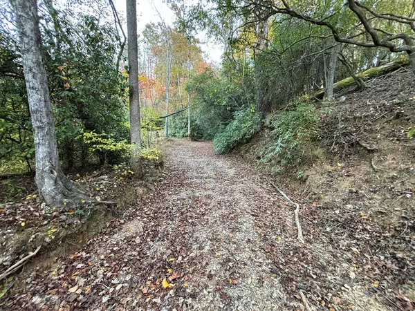 Mineral Bluff, GA 30559,1520 Hills Creek Road