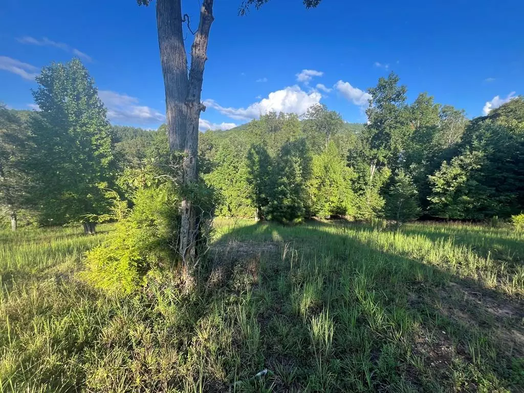 Blairsville, GA 30512,LOT 120 RIVERSIDE ON LAKE NOTTELY