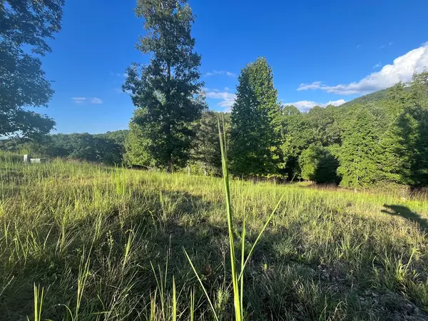 Blairsville, GA 30512,LOT 120 RIVERSIDE ON LAKE NOTTELY