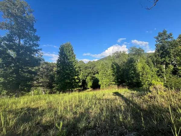 Blairsville, GA 30512,LOT 120 RIVERSIDE ON LAKE NOTTELY