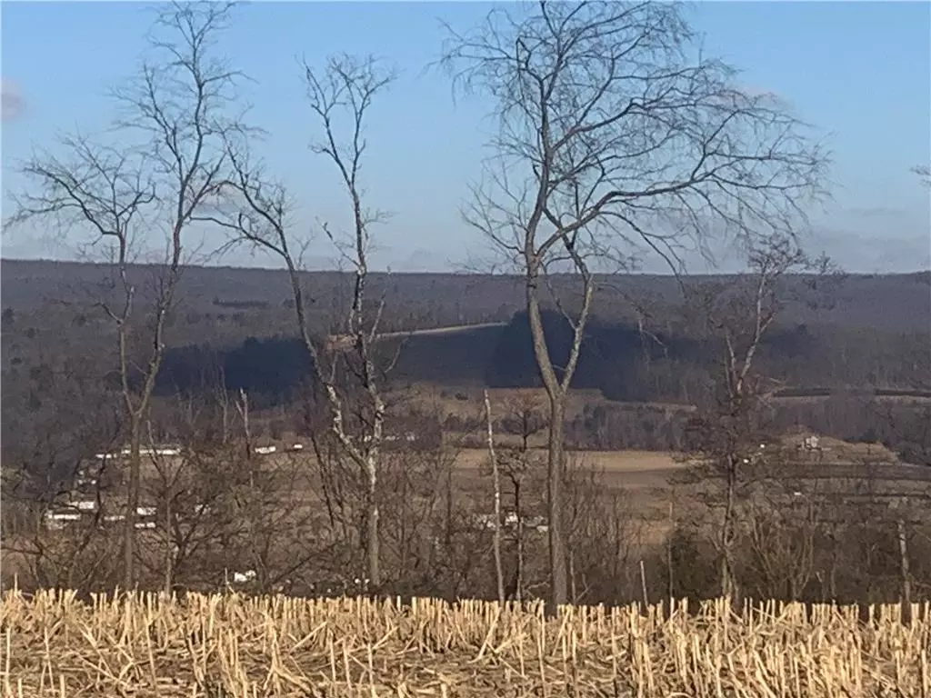 Mahoning Township, PA 18235,Winter Mountain Road