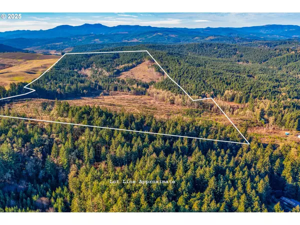 Monmouth, OR 97361,Parcel 2 Airlie RD