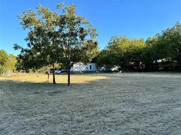 Palo Pinto, TX 76067,118 N 6th Avenue