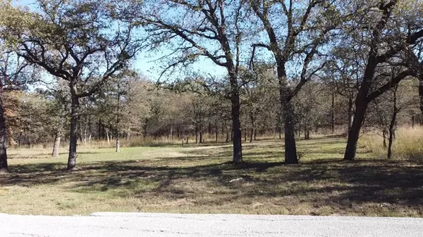 Runaway Bay, TX 76426,196 Johnston Lane