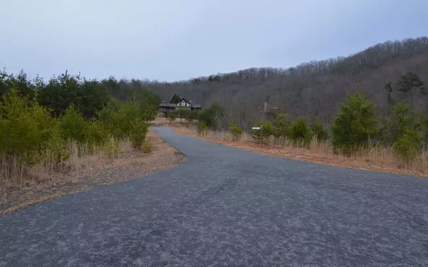 Brasstown, NC 28904,LOT 2 The Preserve at Beach Mountain