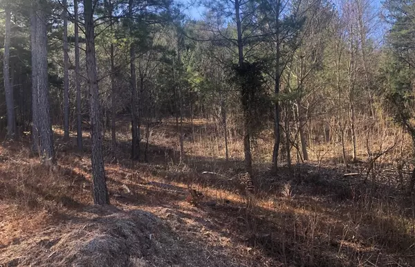 Blairsville, GA 30512,lot 38 Loftis Mountain