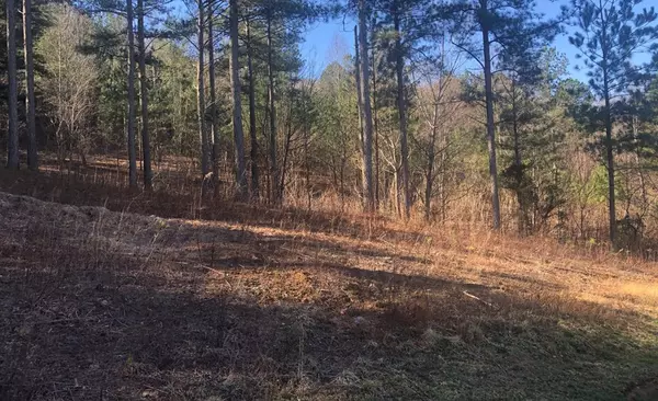 Blairsville, GA 30512,lot 38 Loftis Mountain