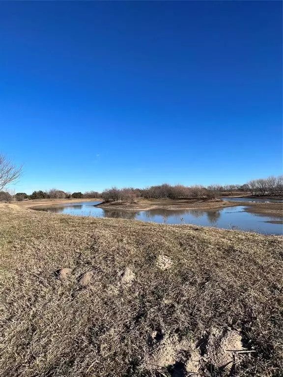 Palo Pinto, TX 76484,20 River Canyon Ranch