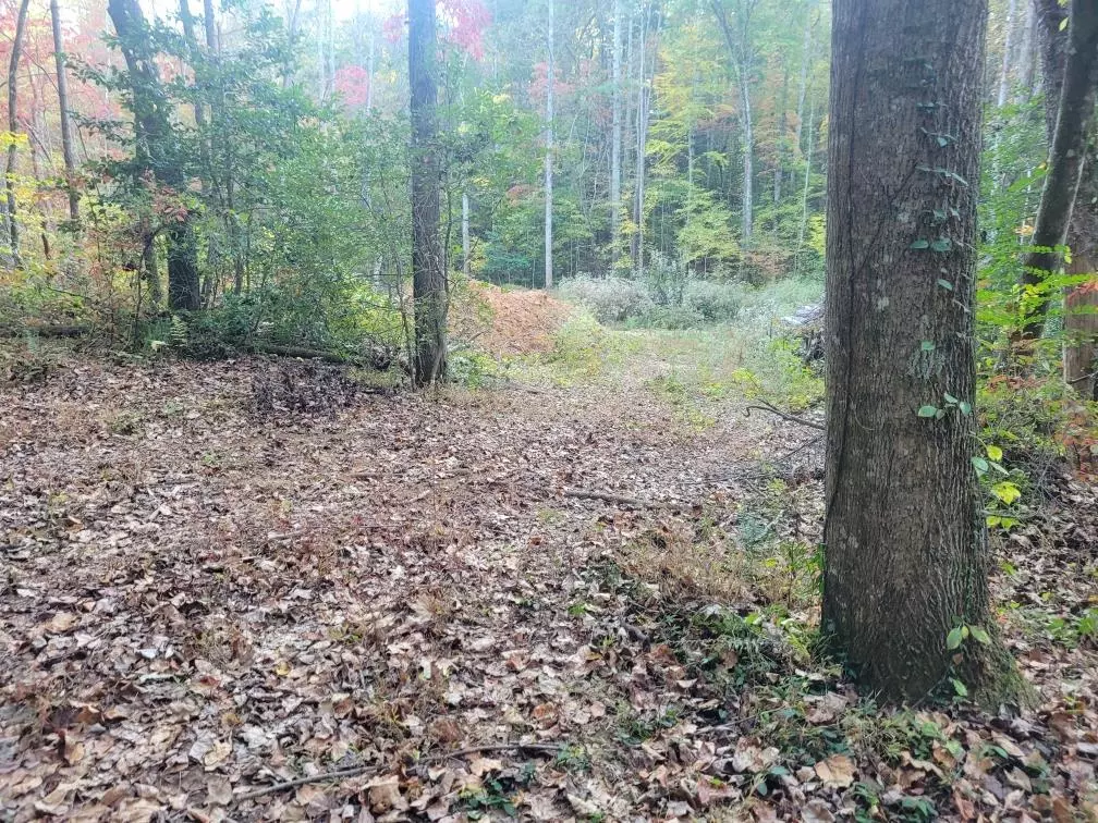 Ellijay, GA 30540,LOT 16 Oscar Court