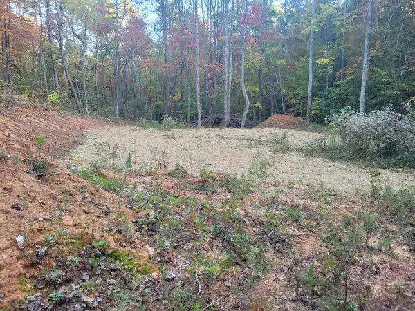 Ellijay, GA 30540,LOT 11 Oscar Court