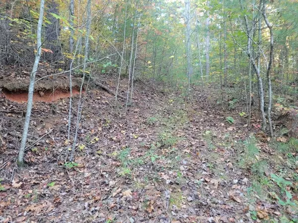 Ellijay, GA 30540,LOT 12 Oscar Court