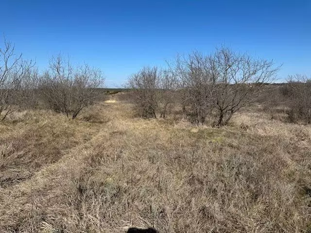 Graford, TX 76449,1050 Spotted Owl Court