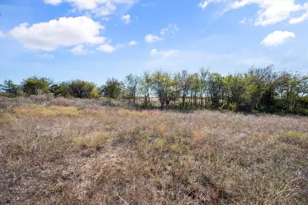 Itasca, TX 76055,Lot 3 Longview Creek Ranch