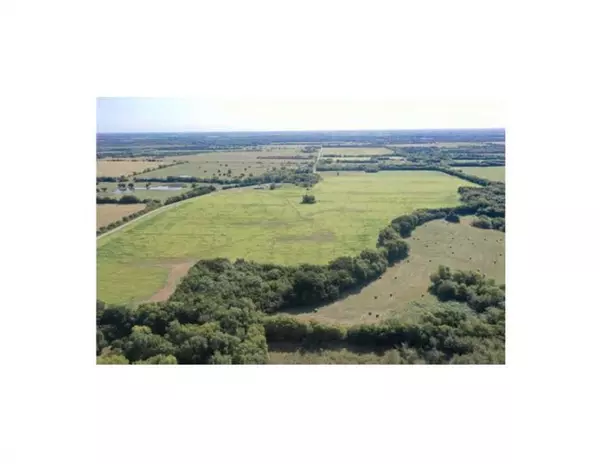 Wolfe City, TX 75496,135 AC CR-4615