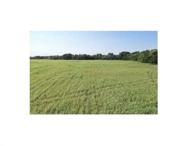 Wolfe City, TX 75496,135 AC CR-4615