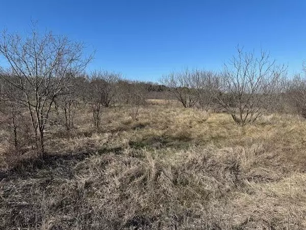 Graford, TX 76449,1050 Spotted Owl Court