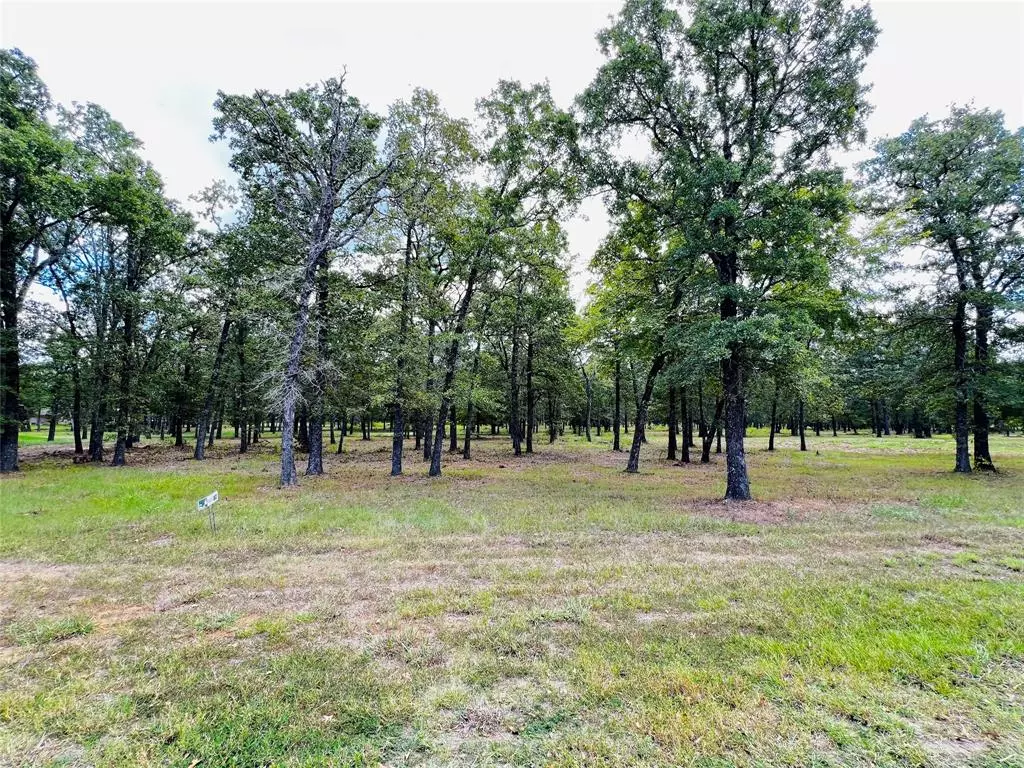 Malakoff, TX 75148,0 TBD Indian Springs