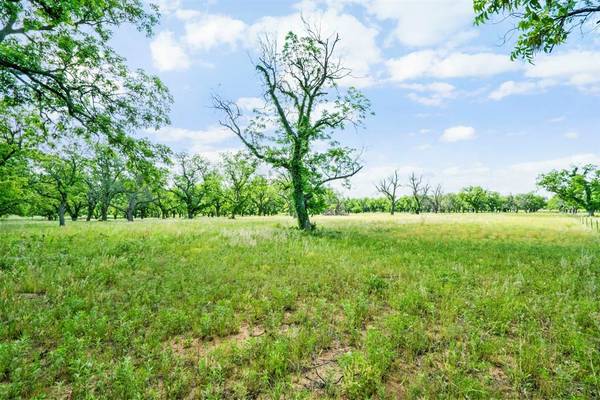 179 COUNTY ROAD 348, Gorman, TX 76454